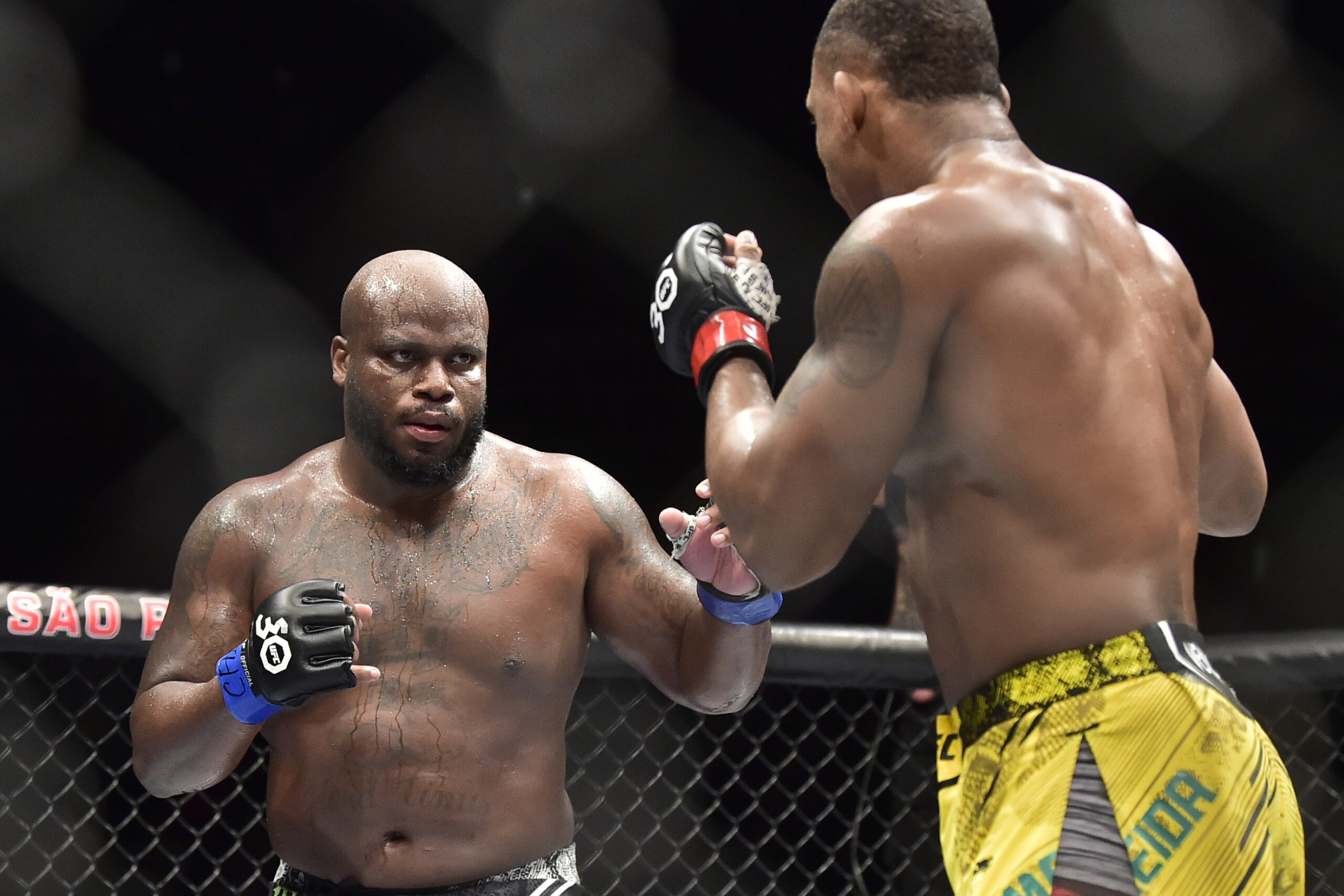Derrick Lewis, WWE