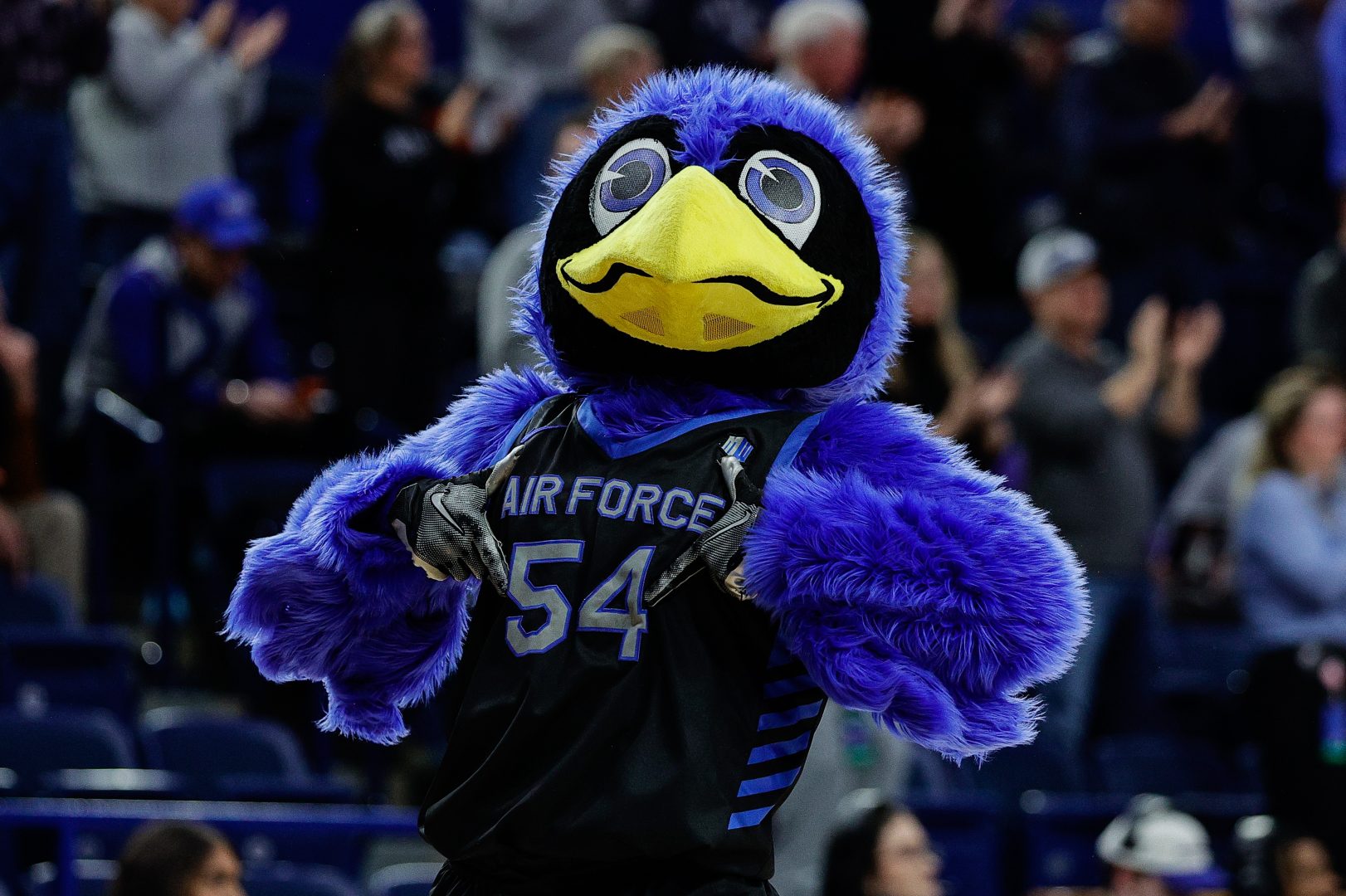 Air Force Falcons mascot The Bird in the second half against the Colorado State Rams at Clune Arena.