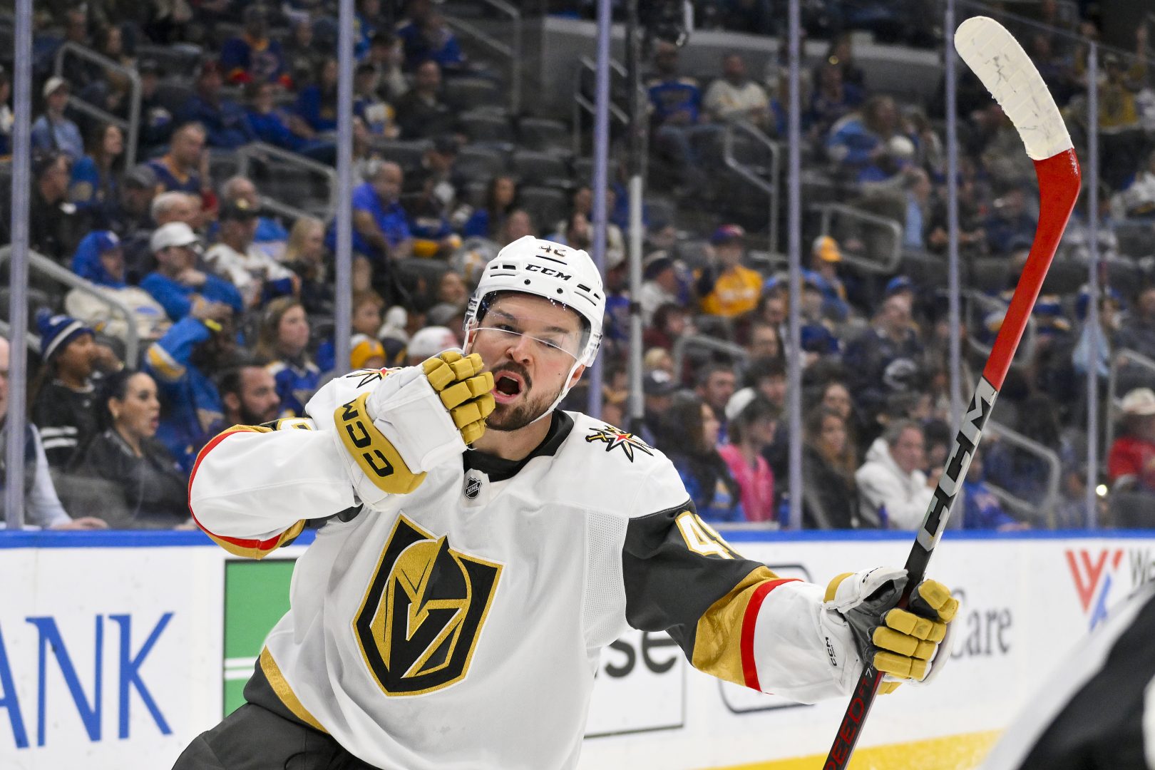 Vegas Golden Knights center Tomas Hertl celebrates after scoring a third-period goal against the St. Louis Blues at Enterprise Center.