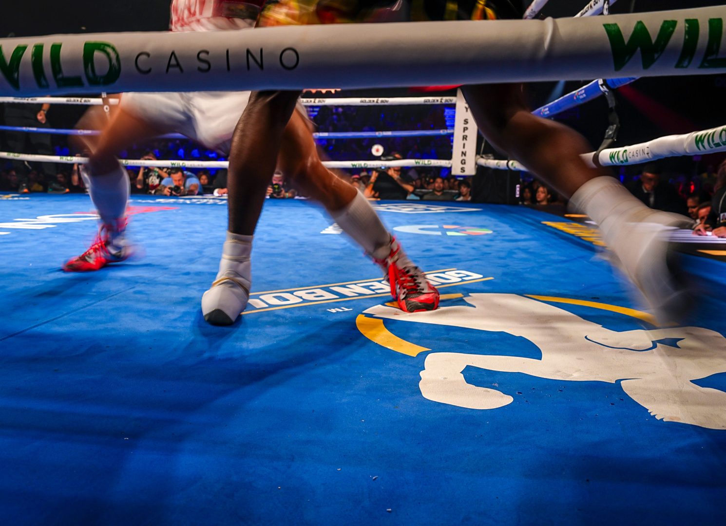 welterweight fight