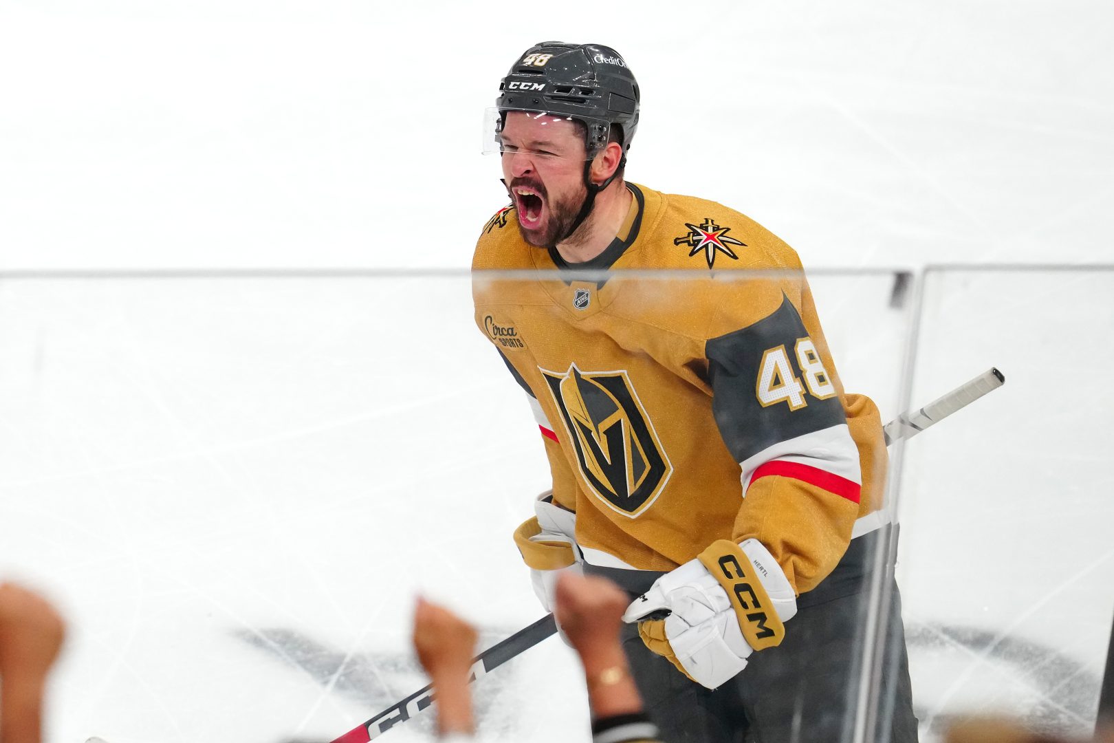Vegas Golden Knights center Tomas Hertl celebrates after scoring the go-ahead third-period goal against the Anaheim Ducks in Game 5 of the second round of the 2026 Stanley Cup Playoffs at T-Mobile Arena.